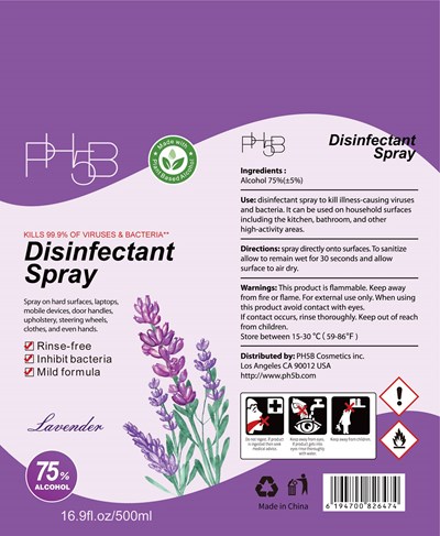 Image Description (Ph5b Disinfectant 500 mL 75vv Spray)